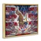 Stupell Industries Patriotic Eagle with Flag Symbols Floating Frame By Joseph Burgess